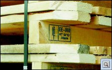 FF526B.jpg